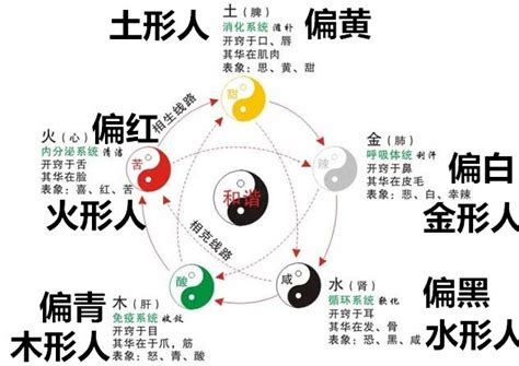 五行金多的人|简单学八字 